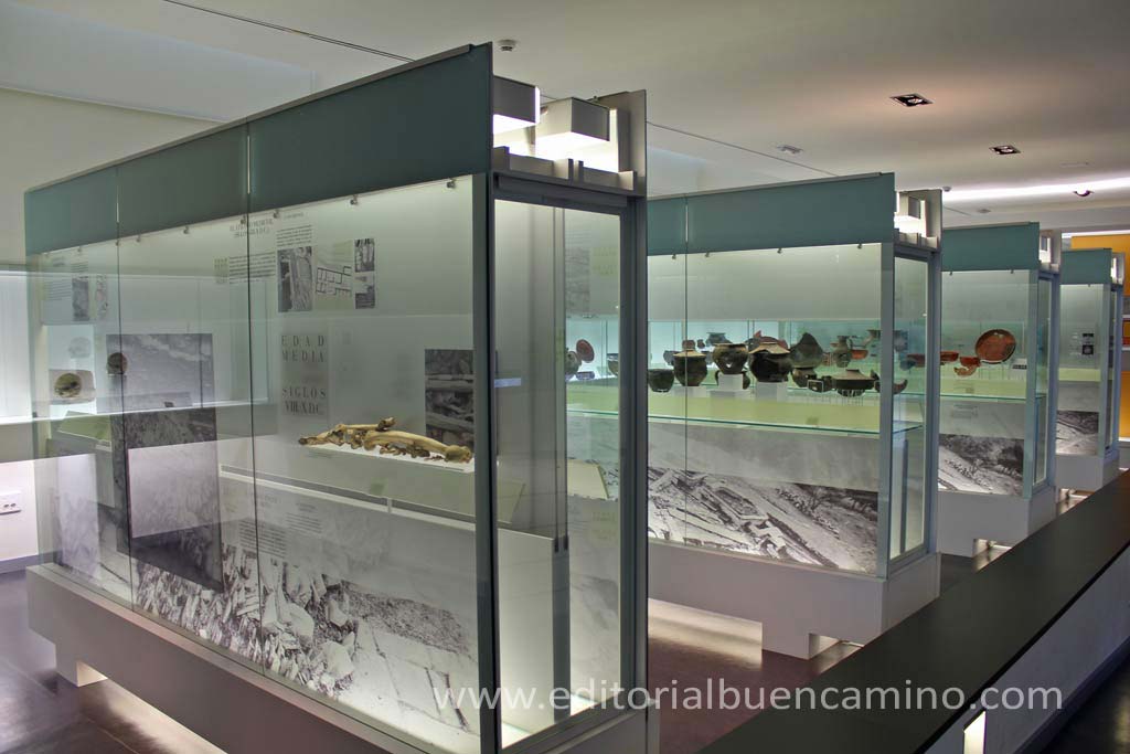 Museo del Castro Samartín